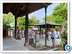 202505_shikoku (102)