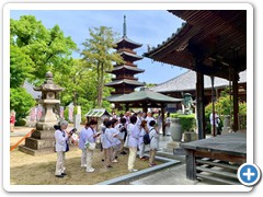 202505_shikoku (103)