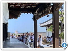 202505_shikoku (123)