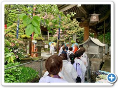 202505_shikoku (23)