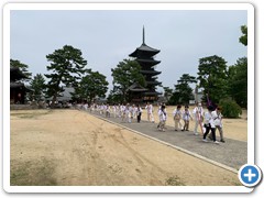 202505_shikoku (93)