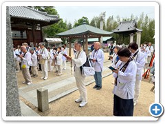 20250516_22shikoku (142)