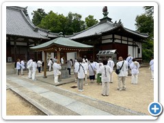 20250516_22shikoku (148)