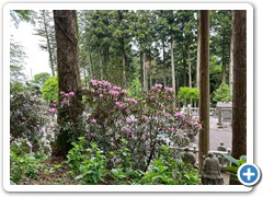 20250516_22shikoku (175)