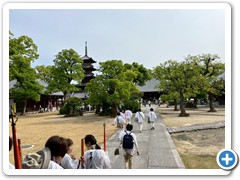 20250516_22shikoku (177)