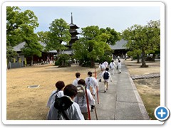 20250516_22shikoku (178)