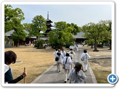 20250516_22shikoku (180)