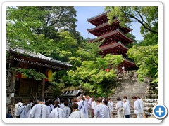 2026_shikoku (6)